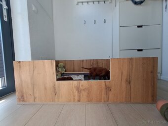 Pôrodný box pre psy - 3