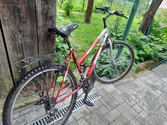 Bicykel cobra - 3