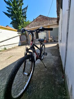 Detskí bycikel Dema pegas - 3