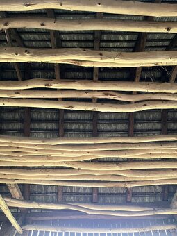 Staré drevo, guľatina - 3