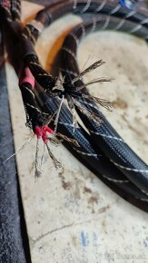 Alphard-Da Vinci - 3