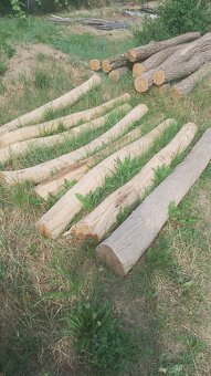 Stlpy Agatove koly - 3