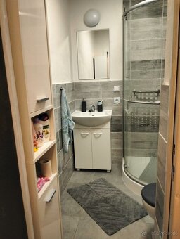 Krásny zrekonštruovaný 1.izbovy byt na prenájom - 3