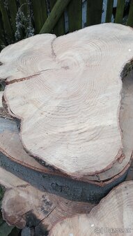 Suché koláče z Habra  a Buka - 3