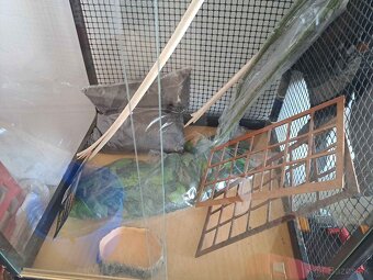 Terarium 2x - 3