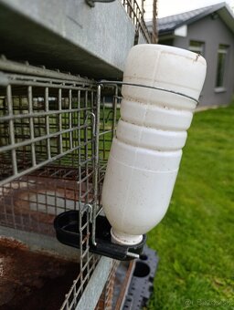 Klietky pre králiky - 3