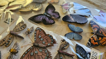 priestorové (3D) nálepky Motýľ, 2 balenia - 3