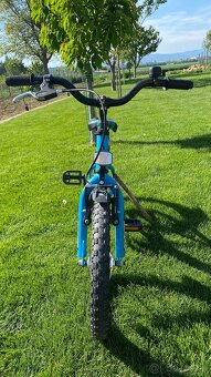 Detský bicykel CTM - 3