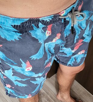SCOTCH & SODA + H&M + MCNEAL - plavky - 3