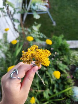 🌻Kytička sušených žltých slameničiek - 3