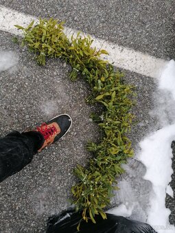 Ponúkame na predaj Imelo - 3