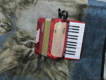 harmonika delicia - 3