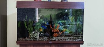 Akvárium Juwel 120L - 3