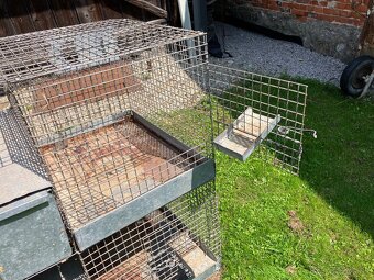 Predam chovne klietky činčila, kralik, prepelica - 3