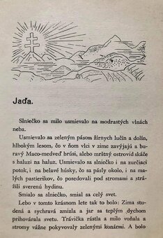 86 ročná zberateľská kniha - 3