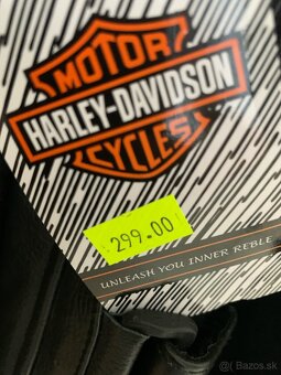 Harley Davidson Vesta - 3