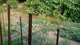 Záhrada Banská Bystrica - 3