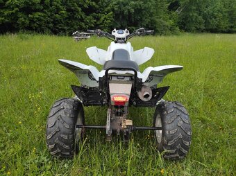 Dinli quadzilla 450 - 3
