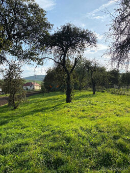 Na predaj stavebný pozemok o výmere 2171 m² s ovocným sadom - 3
