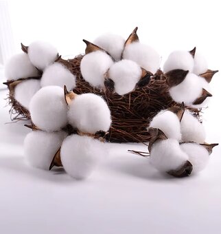 Umelý kvet bavlnovníka balík 10ks - 3