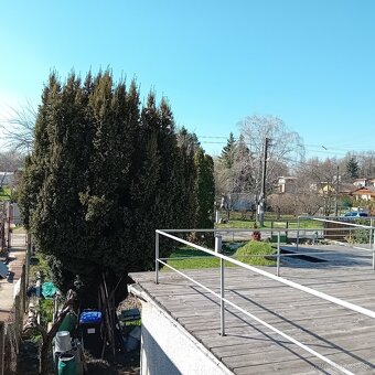 Predaj dom Levice,garáž,terasa,pivnica,plus CHATA na pozemku - 3