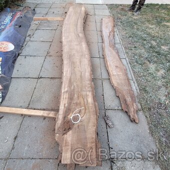 Predám fošne z orecha. - 3