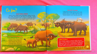 Bývam na savane.Byvol. - 3