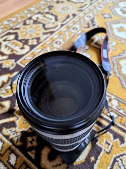 Canon EF 70-200 mm f/4 L USM - 3