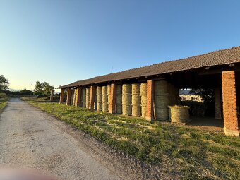 Lúčne seno - 3