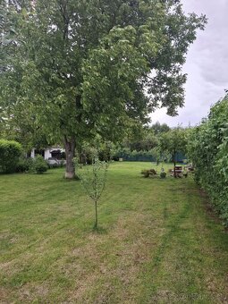 Ponúkam na predaj pozemok v obci Tornyosnémeti -Maďarsko - 3