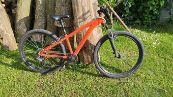 Bicykel pre 13rocne dieta - 3