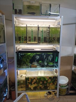 Predám stojky s akvariami - 3