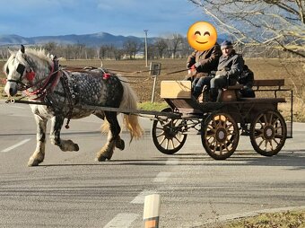 Predam Grošaka z papiermi - 3