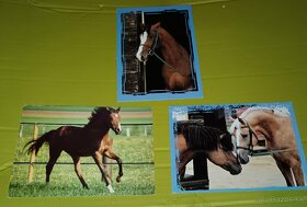Pohľadnice, reklamné, zvieratá, kone - 3
