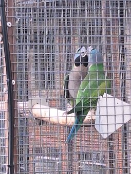 Alexander cinsky - 3