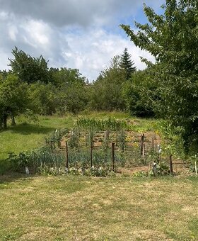 Pozemok na výstavbu, obec Prašice - 3