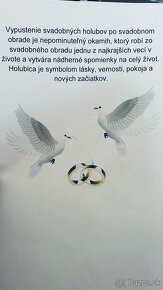 Svadobne holuby , holuby - 3