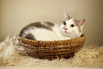 ❤ Johanka - tichá, vďačná a dobrá - 3