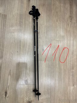 Lyžiarske palice - 3