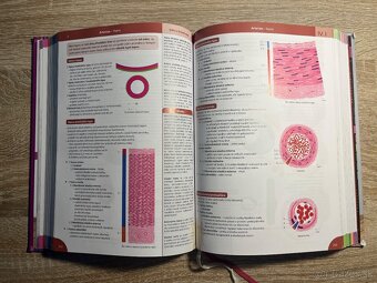 MEMORIX HISTOLOGIE A ANATOMIE - 3