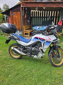 PREDAM HONDA TRANSALP XL750P - 3