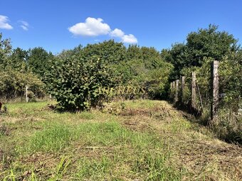 🧨POZEMOK - ZÁHRADA, ULICA ŠURANSKÁ,ČERMÁŇ-NITRA - 3