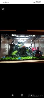 Akvário - 3