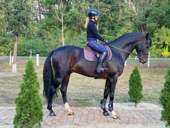 Cornet obolensky & Diamant De semilly - 3