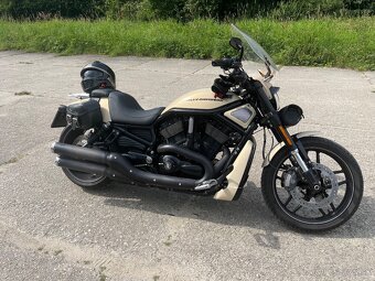 Harley - 3