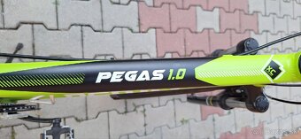 Horský bicykel Dema Pegas 1,0 - 3