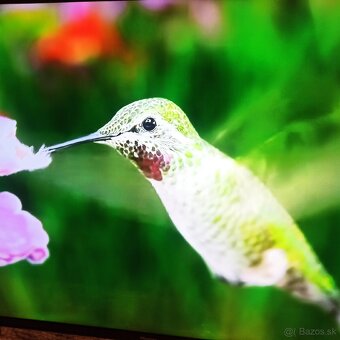 Tv led smart Hisense 43(108) - 3