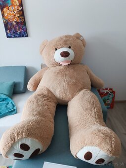 Predám medveďa. - 3