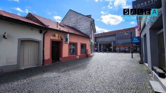RODINNÝ DOM PRIAMO V CENTRE MESTA, PODLAHOVÁ PLOCHA 248m2, Ž - 3