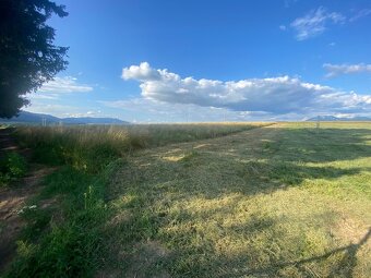 Pozemok Veľký Čepčín 6503m2 - 3